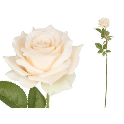 VARA ROSA CLASSIC (A) 79 CM CREMA