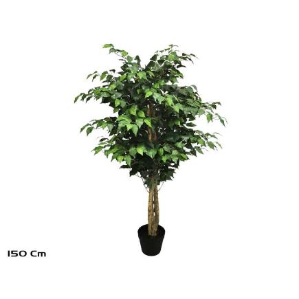 ARBOL FICUS NATUR TRONCO NATURAL (F) 150 CM