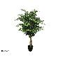ARBOL FICUS NATUR TRONCO NATURAL (F) 150 CM