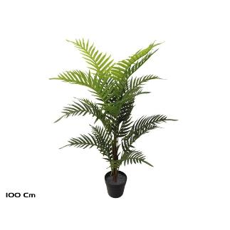 PLANTA PALMERA ARECA C18 (F) 100 CM