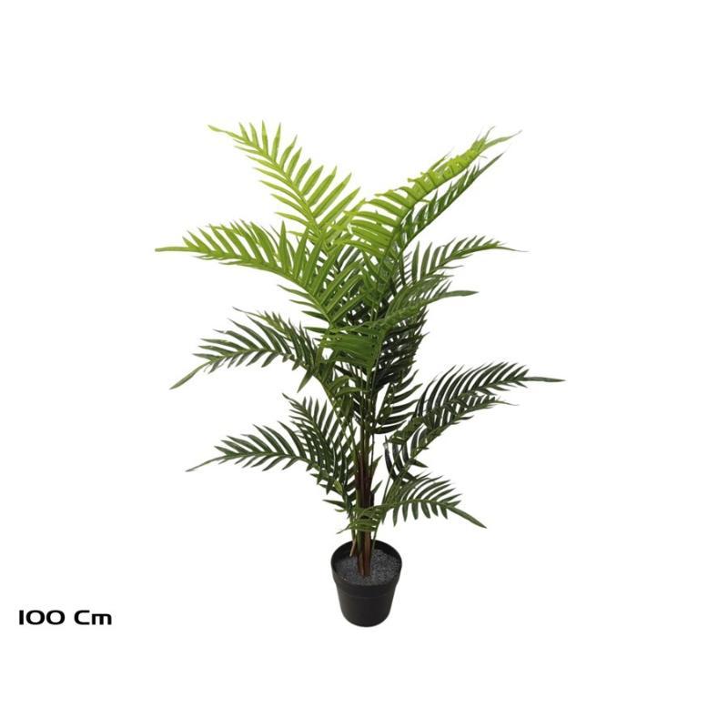 PLANTA PALMERA ARECA C18 (F) 100 CM