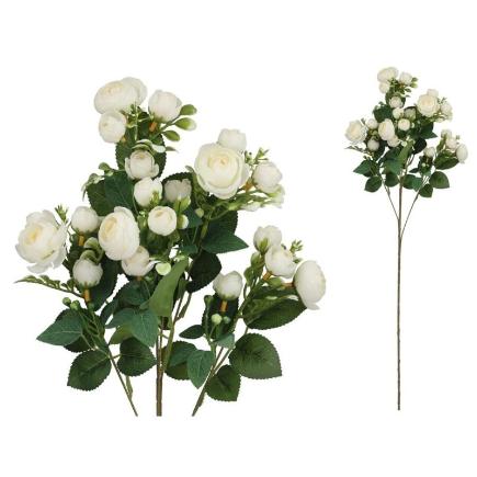 VARA RANUNCULUS X5 X20-72 CM BLANCO