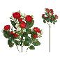 VARA RANUNCULUS X5 X20-72 CM ROJO