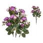 VARA RANUNCULUS X5 X20-72 CM VIOLETA
