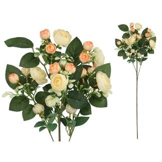 VARA RANUNCULUS X5 X20-72 CM TE