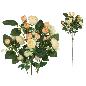VARA RANUNCULUS X5 X20-72 CM TE