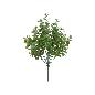 RAMO EUCALIPTUS X16-52 CM VERDE CLARO