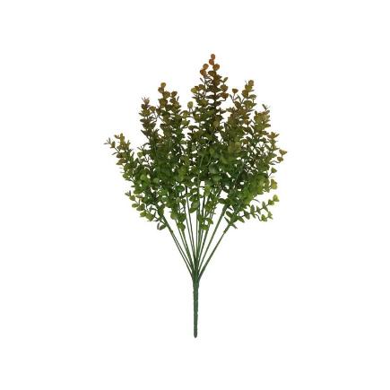 RAMO EUCALIPTUS MINI X18-54 CM MARRON
