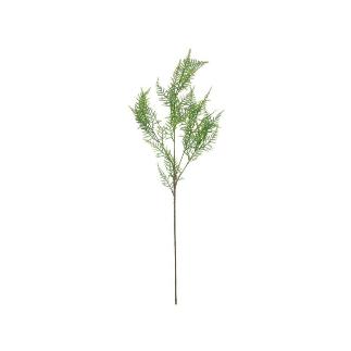 VARA ESPARRAGUERA X41-87 CM VERDE