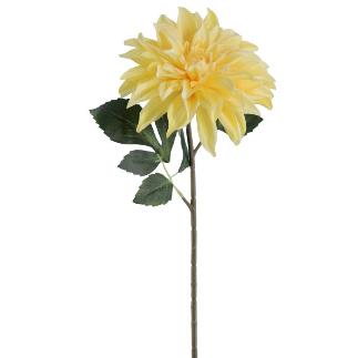 DAHLIA COLECCION SUNSET AMARILLO