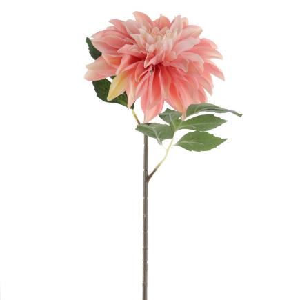 DAHLIA COLECCION SUNSET CORAL