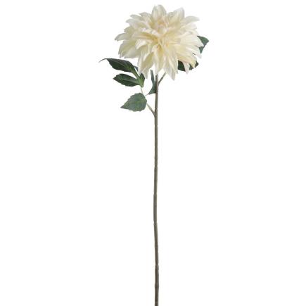 DAHLIA COLECCION SUNSET CREMA