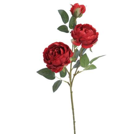 PEONIA COLECCION SUNSET X3 ROJO