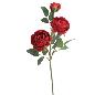 PEONIA COLECCION SUNSET X3 ROJO