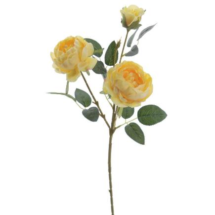 PEONIA COLECCION SUNSET X3 AMARILLO