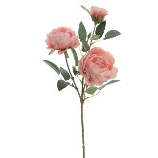 PEONIA COLECCION SUNSET X3 CORAL