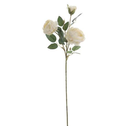 PEONIA COLECCION SUNSET X3 CREMA