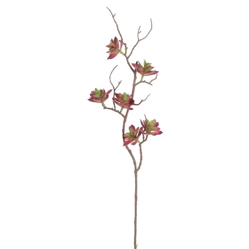 ECHEVERIA BURDEOS