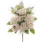 PALMA ROSAS HORTENSIAS CREMA