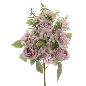 PALMA ROSAS HORTENSIA MALVA