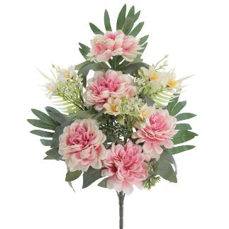 PALMA DAHLIAS ROSA
