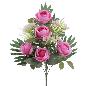 PALMA ROSAS CABAGE FUCSIA