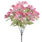 RAMO COSMOS FUCSIA