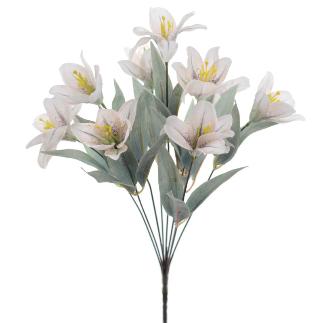 RAMO LILIUM CREMA