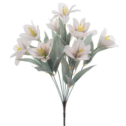 RAMO LILIUM CREMA