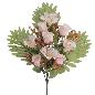 PALMA ROSAS ALSTROMENIA ROSA
