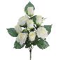 PALMA ROSAS CAPULLOS CREMA