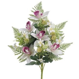 PALMA CYMBIDIUM PURPURA