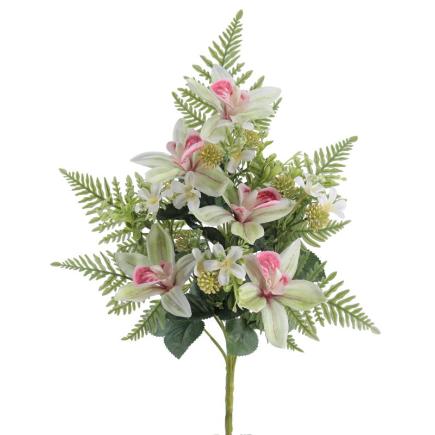 PALMA CYMBIDIUM VERDE