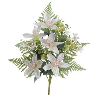 PALMA CYMBIDIUM CREMA