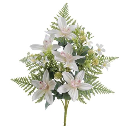 PALMA CYMBIDIUM CREMA