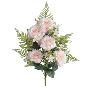 PALMA ROSAS ROSA