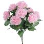 RAMO ROSAS ROSA