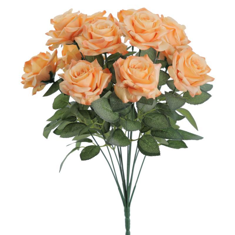 RAMO ROSAS SALMON