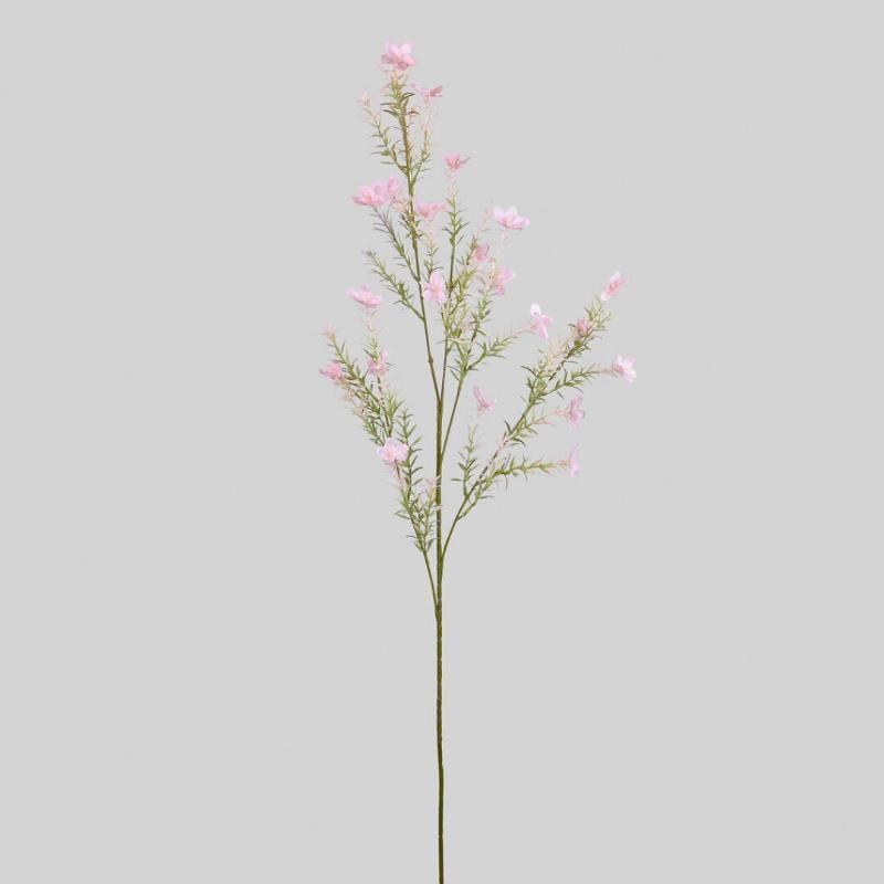 GIPSOFILA X5 100 CM ROSA