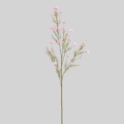 GIPSOFILA X5 100 CM ROSA
