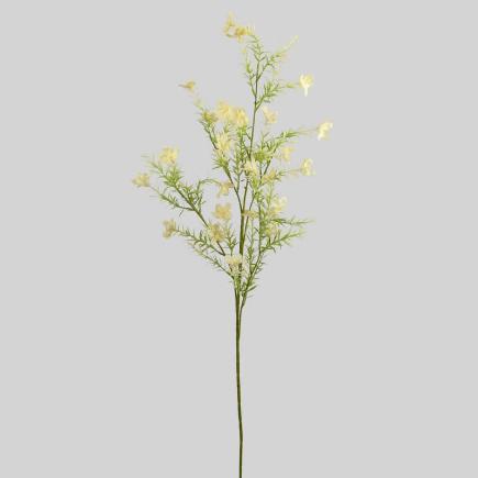 GIPSOFILA X5 100 CM AMARILLO