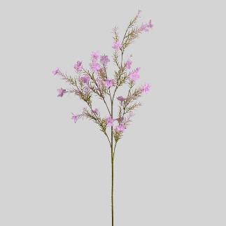 GIPSOFILA X5 100 CM LILA