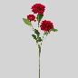 DALIA X3 74 CM ROJO