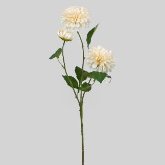DALIA X3 74 CM VAINILLA