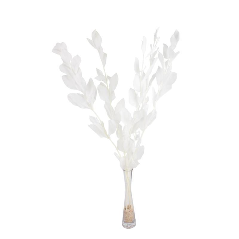 RUSCUS PRESERVADAS H75 CM BLANCO