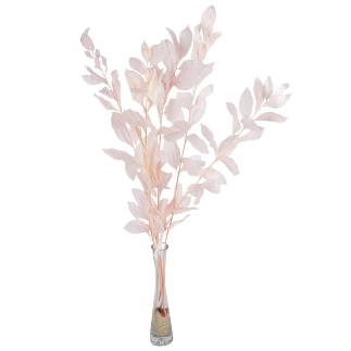 RUSCUS PRESERVADAS H75 CM ROSA PALO