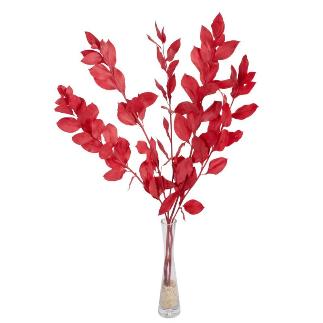 RUSCUS PRESERVADAS H75 CM ROJO