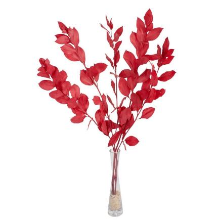RUSCUS PRESERVADAS H75 CM ROJO
