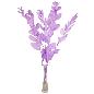 RUSCUS PRESERVADAS H75 CM LILA