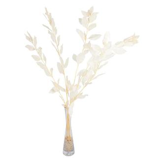 RUSCUS PRESERVADAS H75 CM CHAMPAN